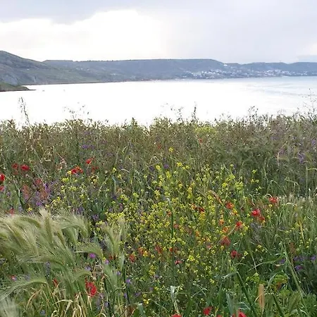 I Viaggi Di Edo לינה וארוחת בוקר 3*